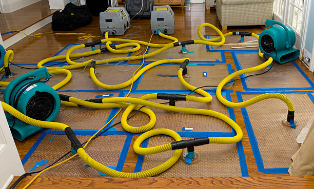 Professional Water Extraction technician working in Ashland, MO